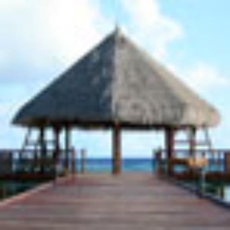 Novotel Poznan Malta Hotel